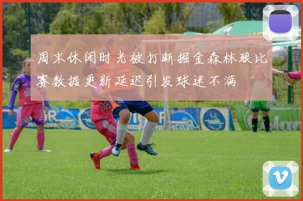周末休闲时光被打断掘金森林狼比赛数据更新延迟引发球迷不满