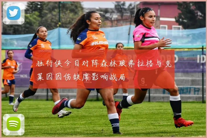 独行侠今日对阵森林狼弗拉格与克莱因因伤缺席影响战局