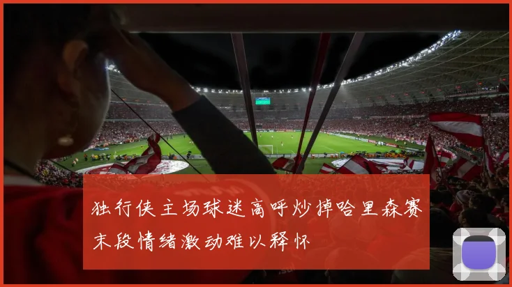 独行侠主场球迷高呼炒掉哈里森赛末段情绪激动难以释怀